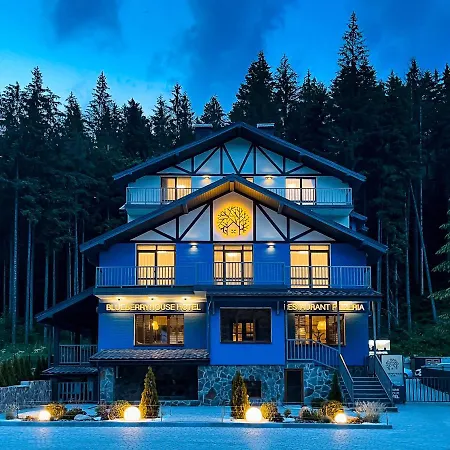Blueberryhouse * Буковель