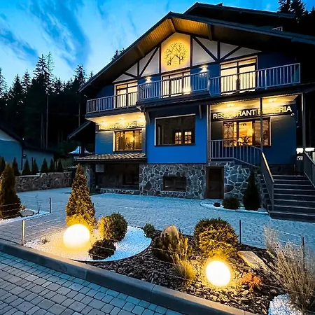 Blueberryhouse Буковель