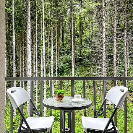 Blueberryhouse * Bukovel