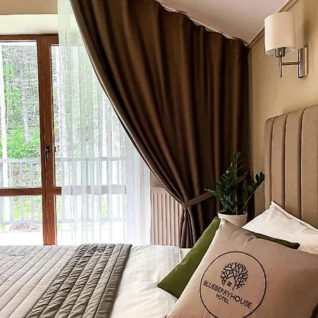 Отель Blueberryhouse
