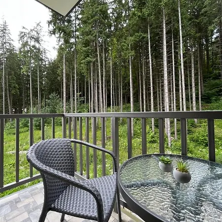 Blueberryhouse Буковель