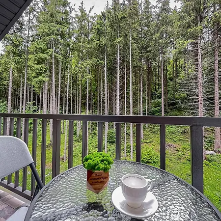 Blueberryhouse Hotel *