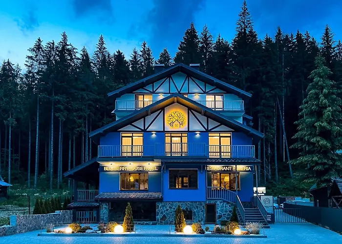 Blueberryhouse * Bukovel