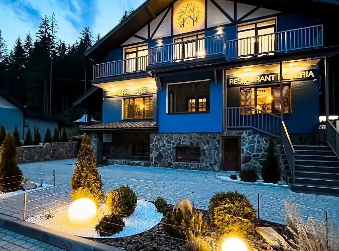 Blueberryhouse Bukovel