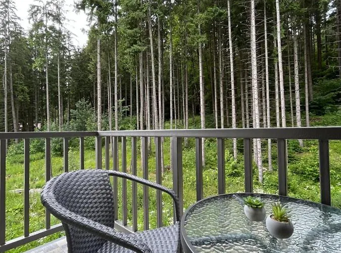 Blueberryhouse Bukovel